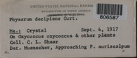 Image Associated With the Occurence